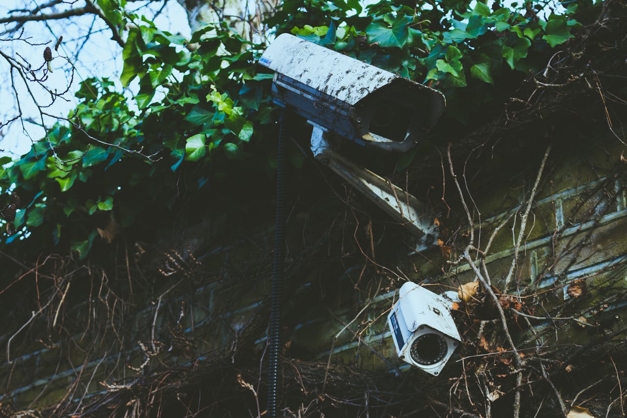 our-story Outdoor surveillance cameras mounted on a vine-covered brick wall.